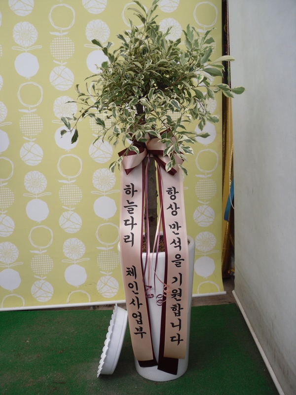 2��16��(������)