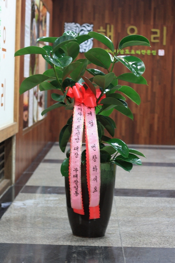 2��20��(�����)