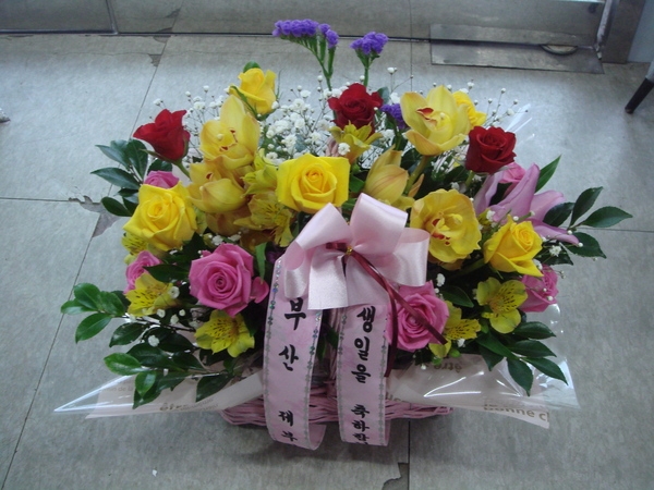 2��20��(�����)