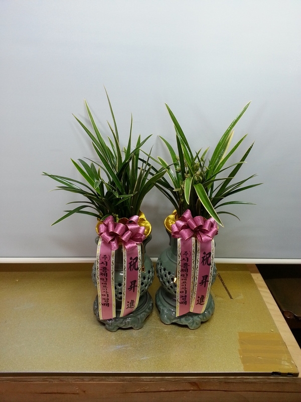 2��20��(�����)