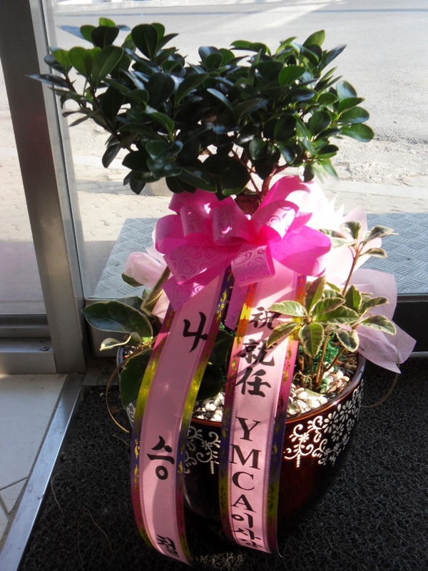 2��20��(�����)