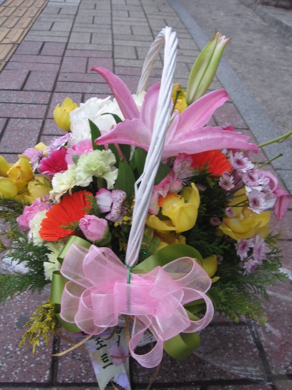 2��20��(�����)