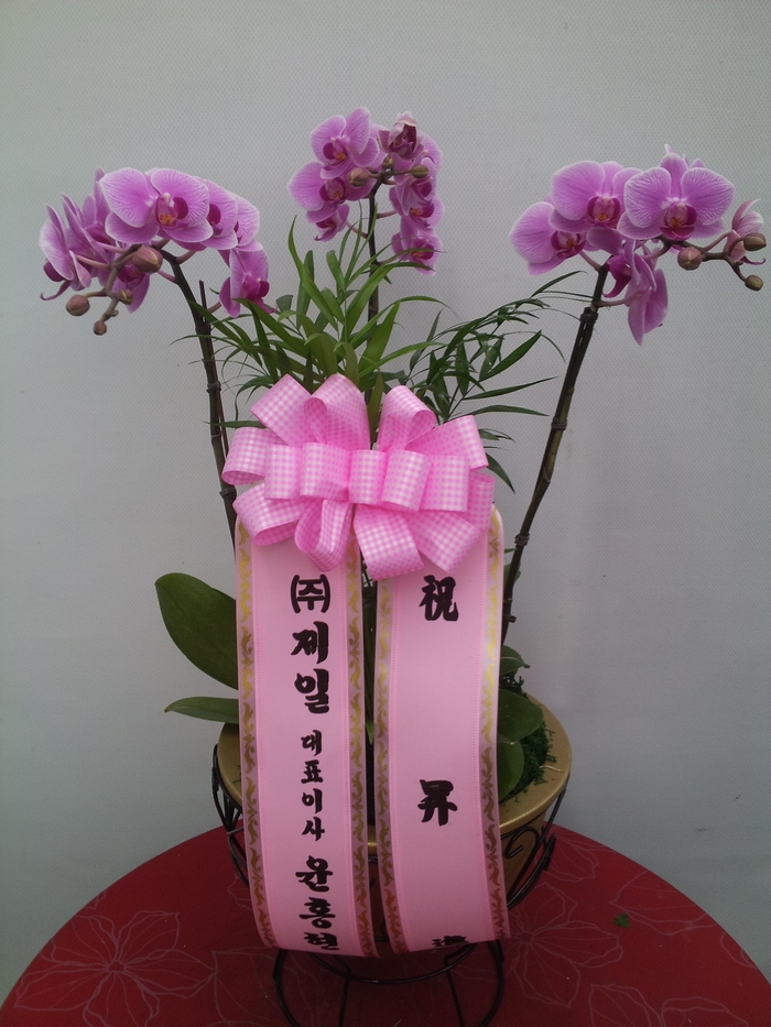 2��20��(�����)