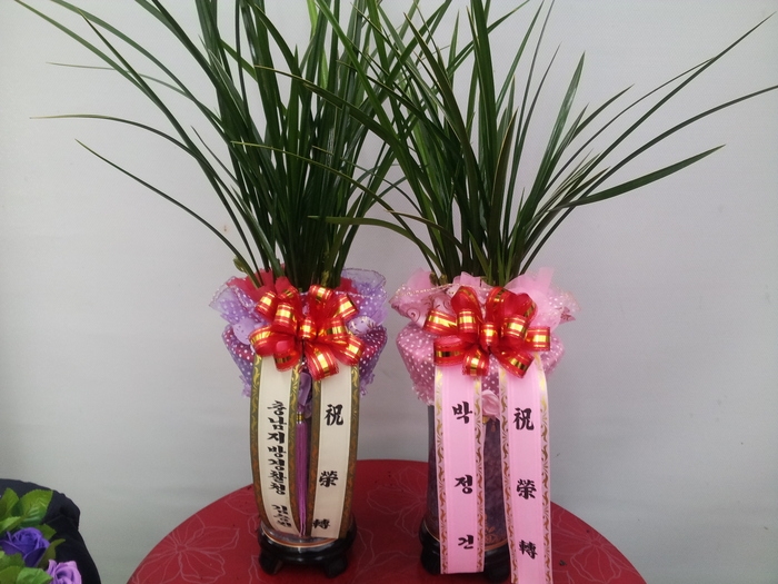 2��20��(�����)