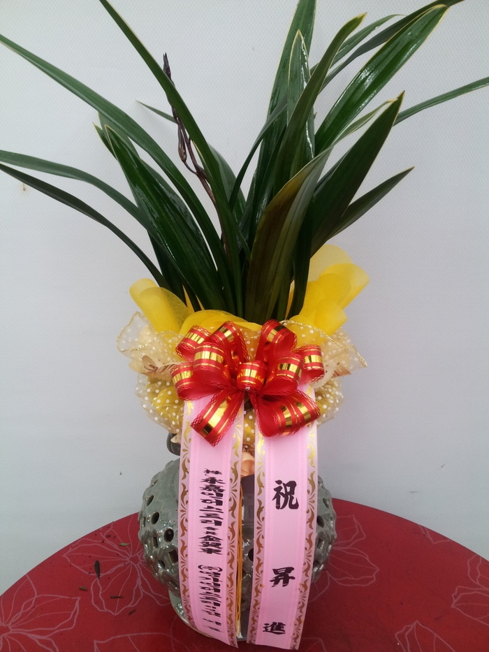 2��20��(�����)