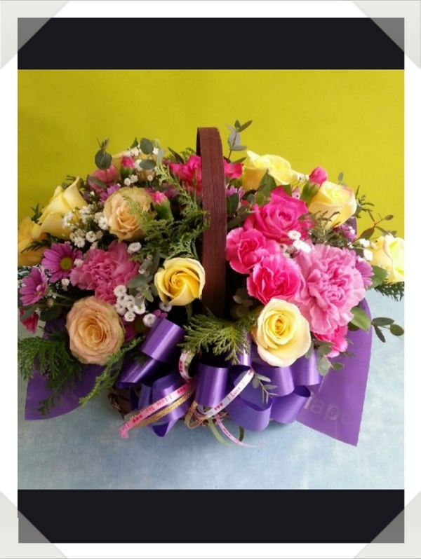 2��26��(������)