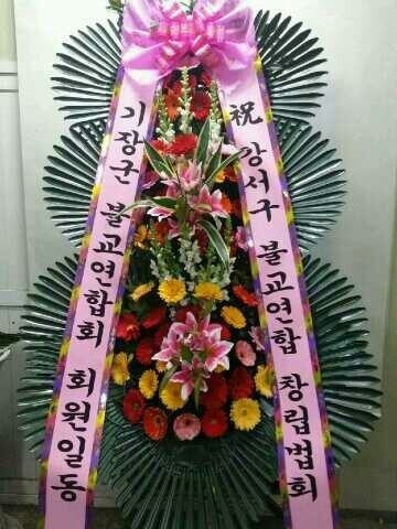 2��26��(������)