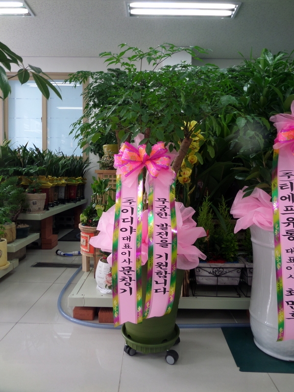 2��26��(������)