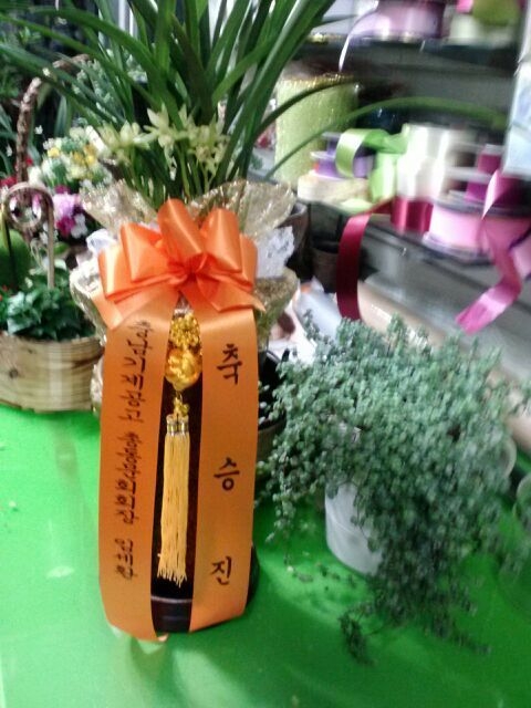 2��26��(������)