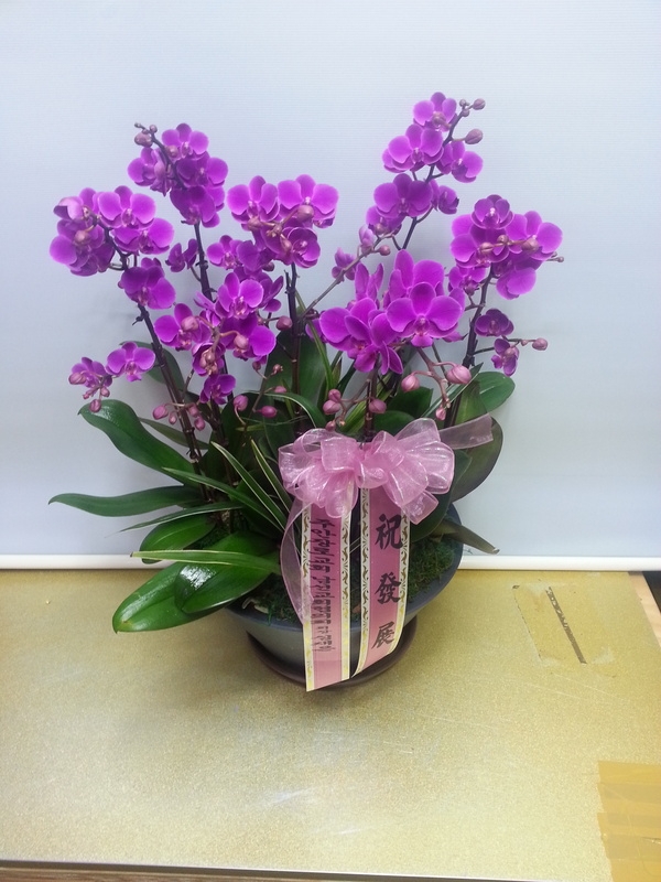 2��26��(������)