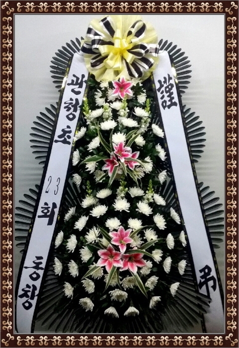 2��26��(������)