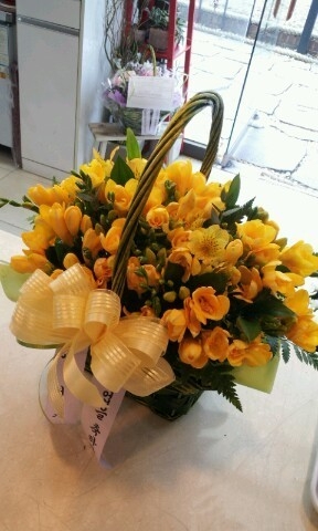 2��26��(������)