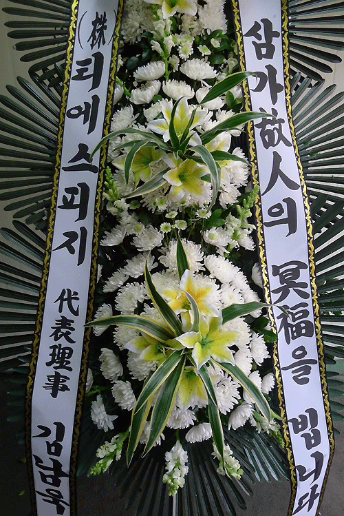 2��26��(������)