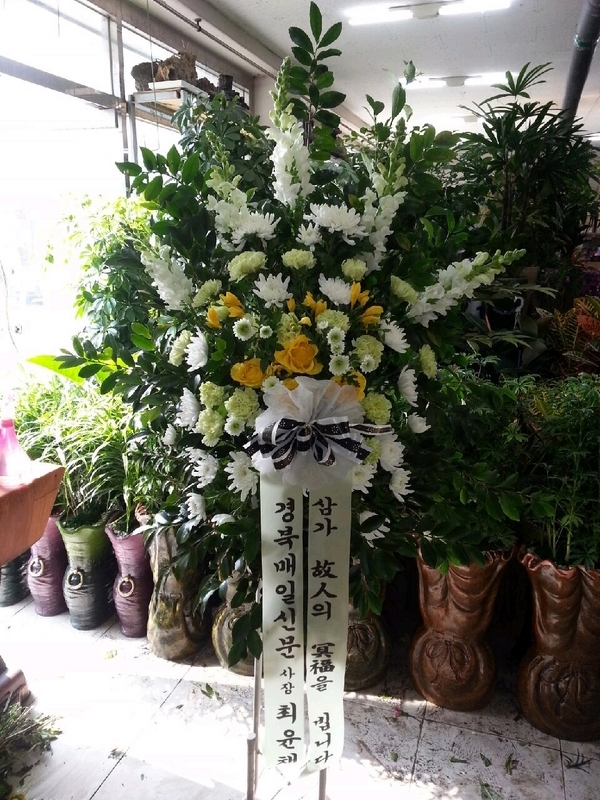 2��26��(������)