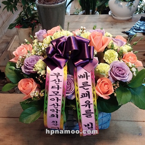 2��26��(������)