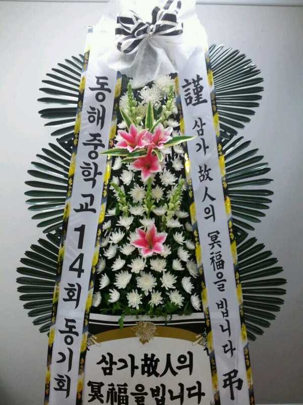 2��26��(������)