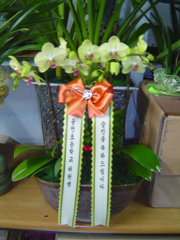 3��3��(������)