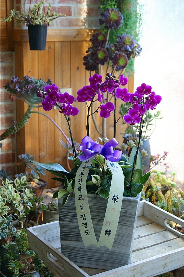 3��3��(������)