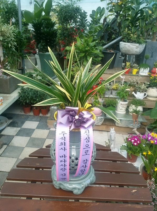 3��3��(������)