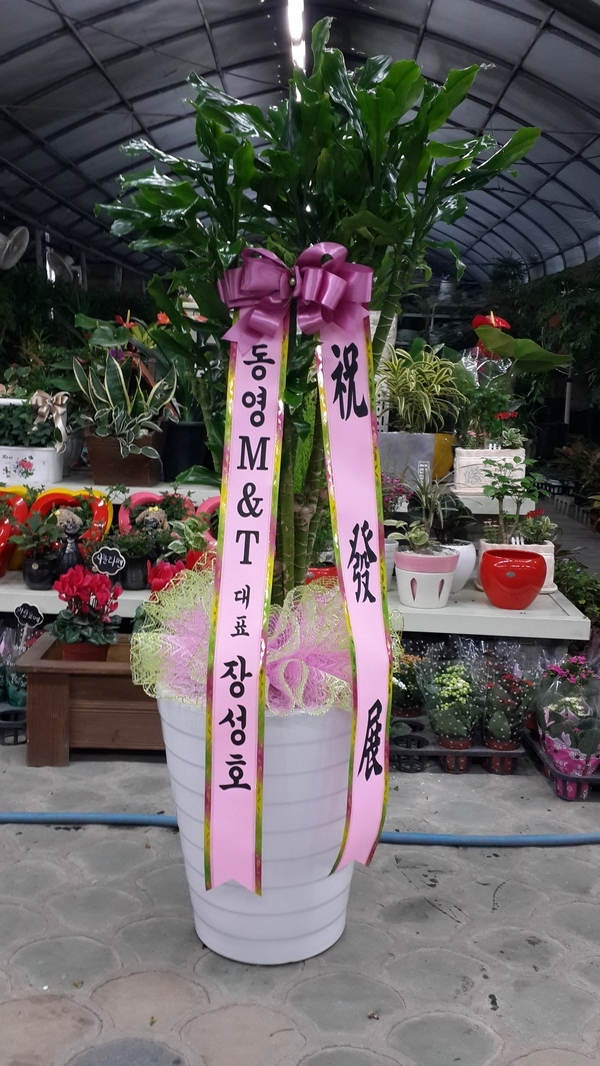 3��3��(������)