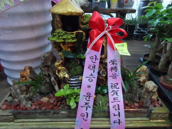 3��3��(������)