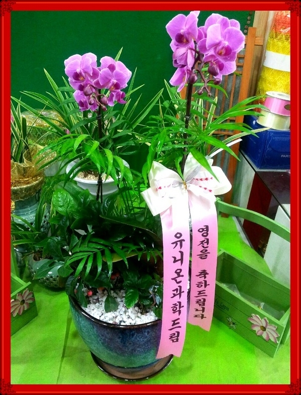 3��3��(������)