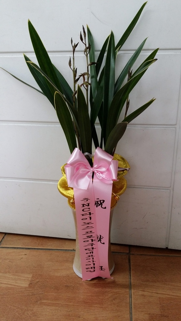 3��7��(�ݿ���)