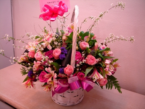 3��7��(�ݿ���)