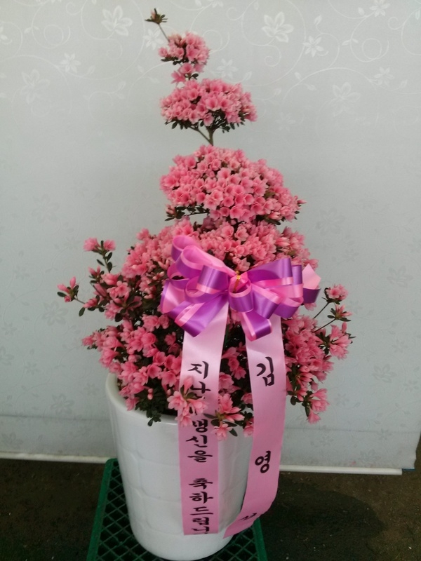 3��7��(�ݿ���)