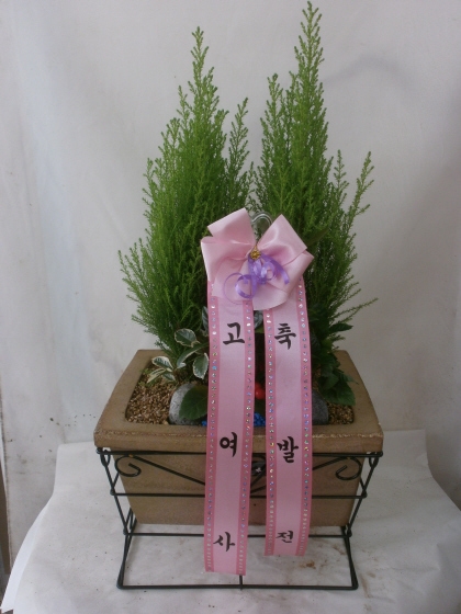 3��11��(ȭ����)