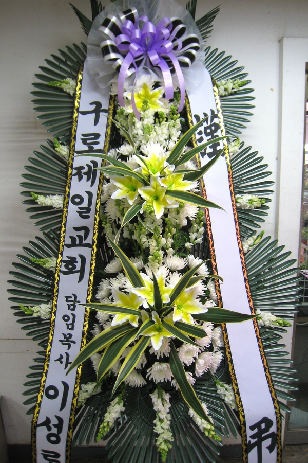 3��11��(ȭ����)