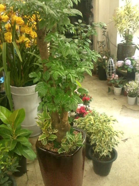 3��11��(ȭ����)