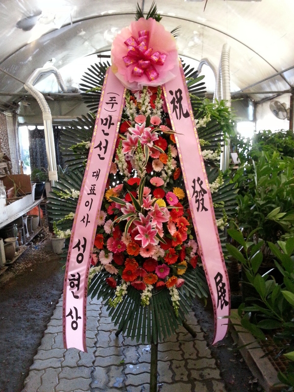 3��11��(ȭ����)