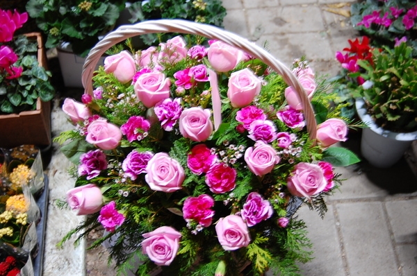 3��11��(ȭ����)