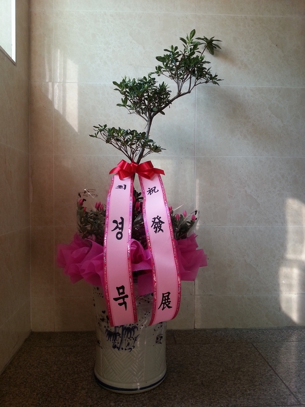 3��11��(ȭ����)