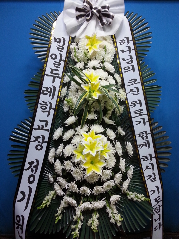 3��11��(ȭ����)