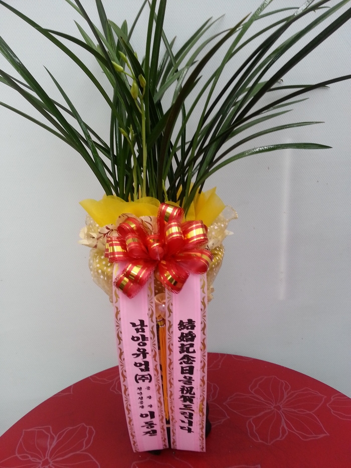 3��16��(�Ͽ���)