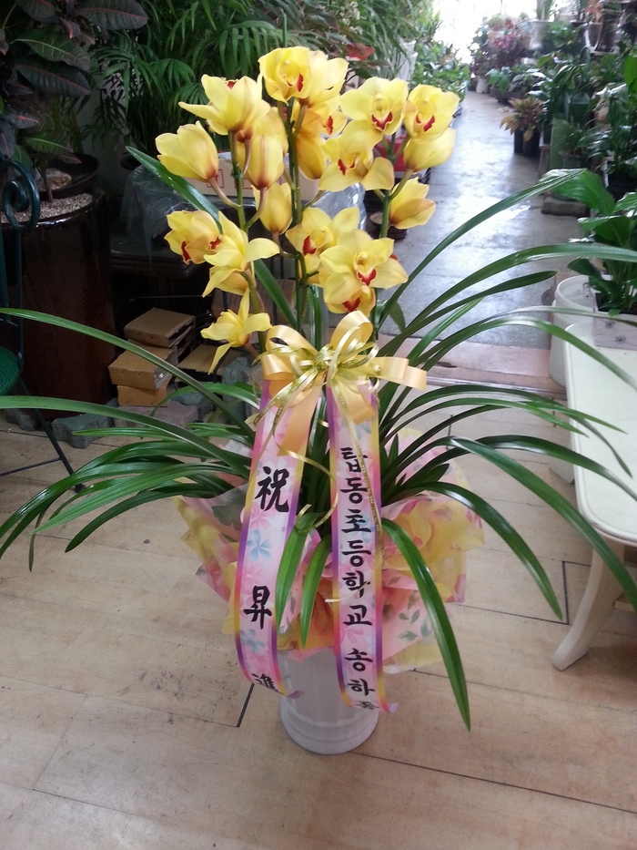 3��16��(�Ͽ���)