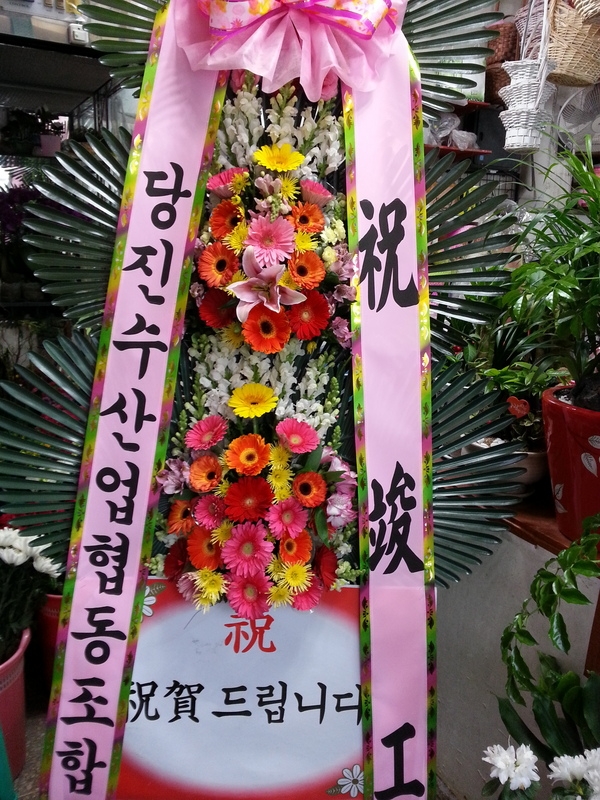 3��16��(�Ͽ���)