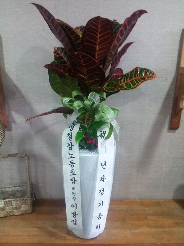 3��16��(�Ͽ���)