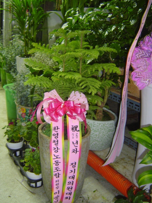 3��16��(�Ͽ���)