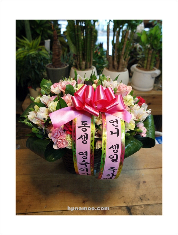 3��16��(�Ͽ���)