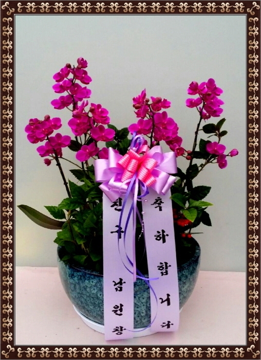 3��16��(�Ͽ���)