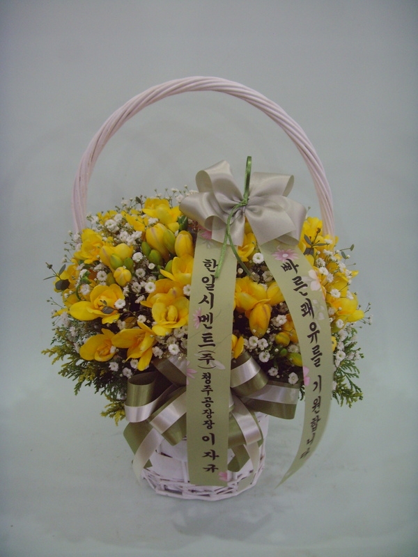 3��16��(�Ͽ���)