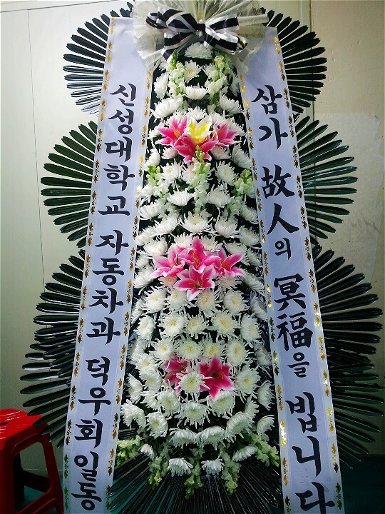 3��16��(�Ͽ���)