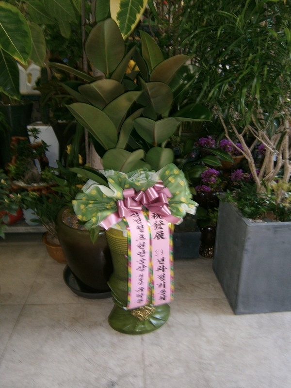 3��16��(�Ͽ���)