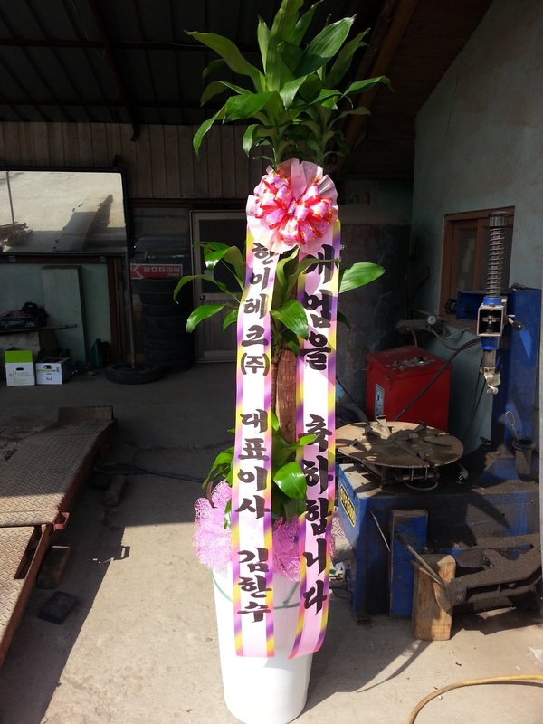 3��20��(�����)