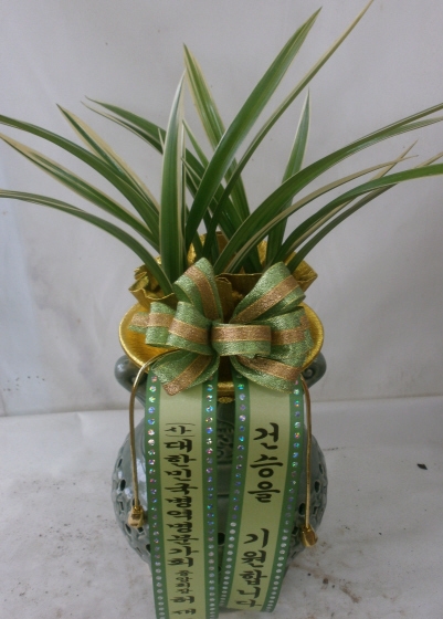 3��20��(�����)