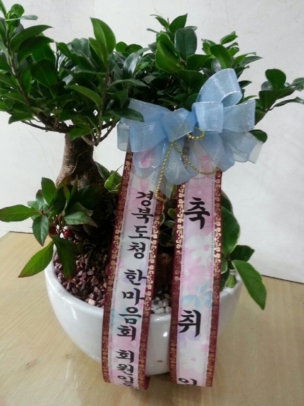 3��20��(�����)