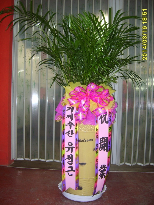 3��20��(�����)